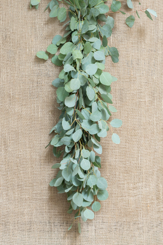 Garland - Eucalyptus Silver Dollar