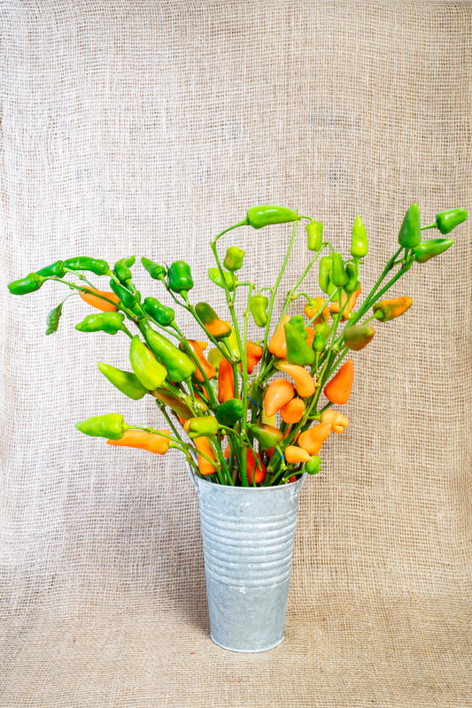 Ornamental Peppers